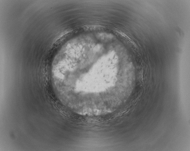 X0000115410870200912151539