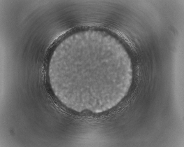 X0000115410872200912151539