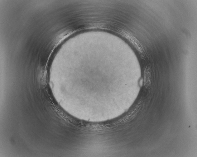 X0000115410876200912151539