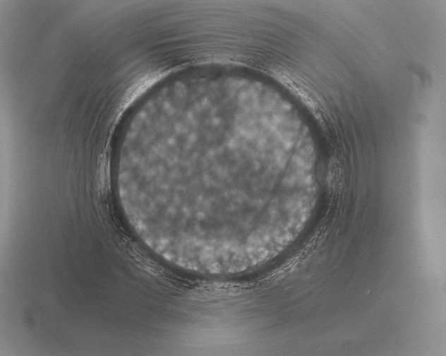 X0000115410877200912151539