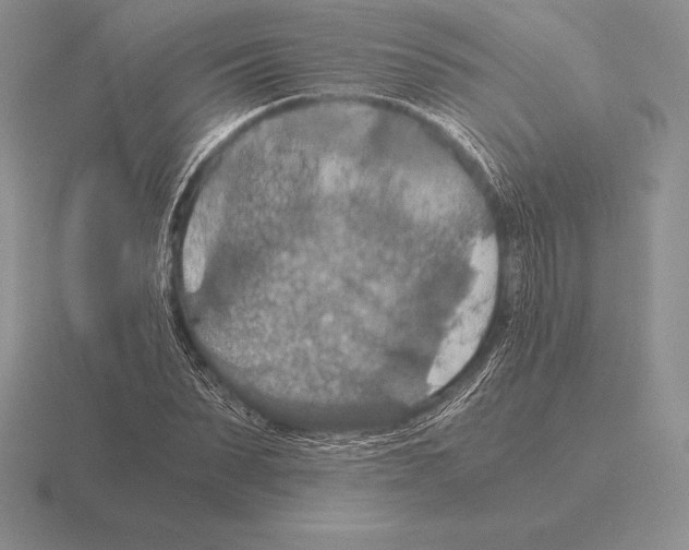 X0000115410879200912151539