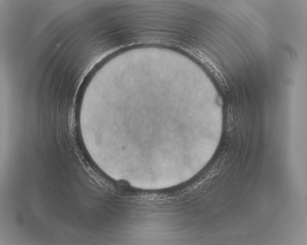 X0000115410880200912151539