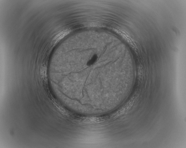 X0000115410881200912151539