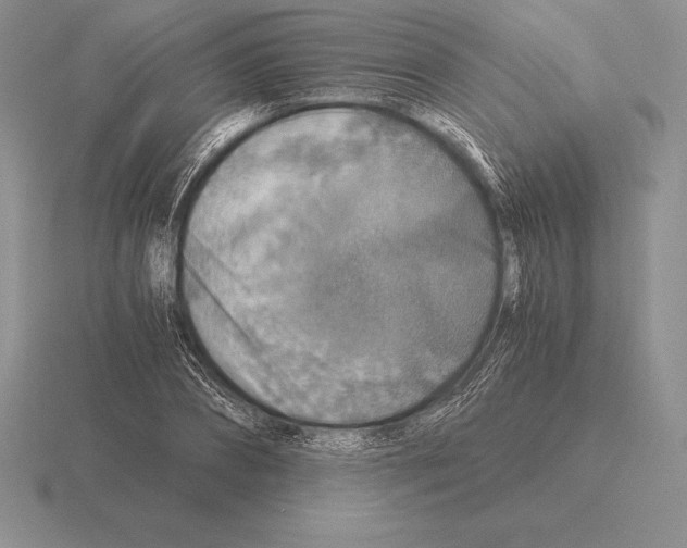 X0000115410882200912151539