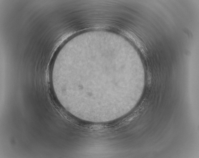 X0000115410883200912151539