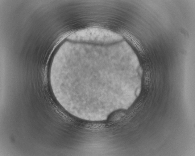 X0000115410884200912151539