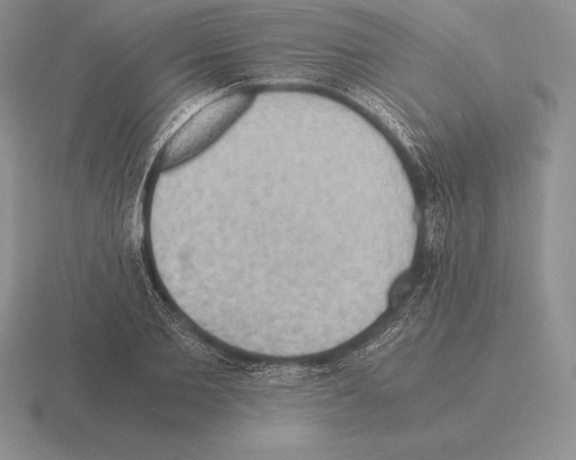 X0000115410885200912151539