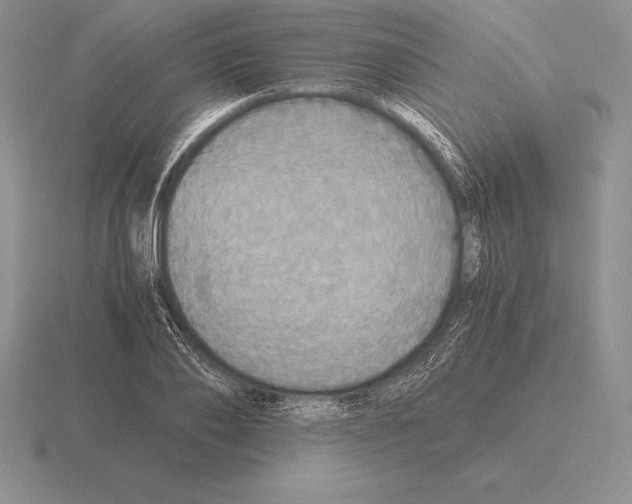 X0000115410886200912151539