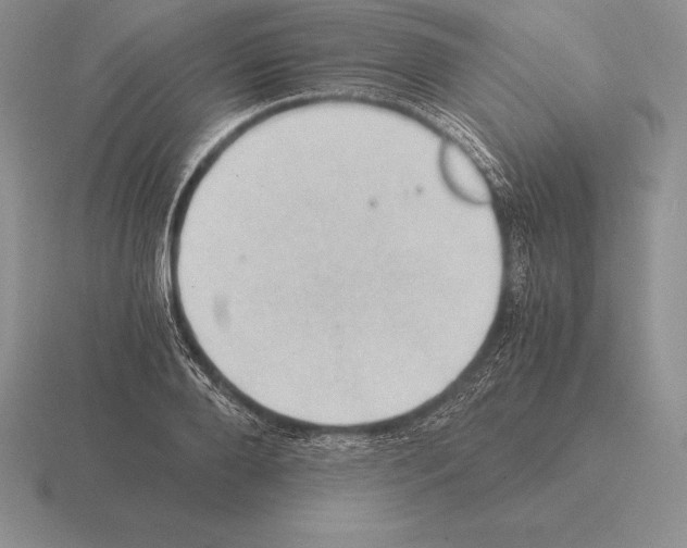 X0000115410888200912151539