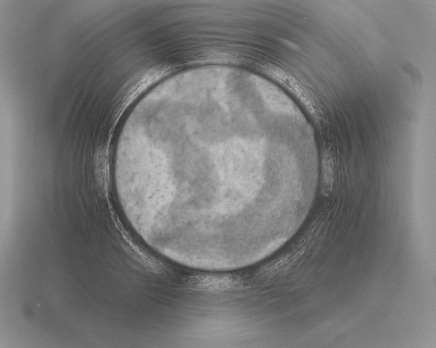 X0000115410890200912151539