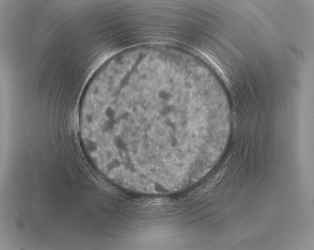 X0000115410891200912151539