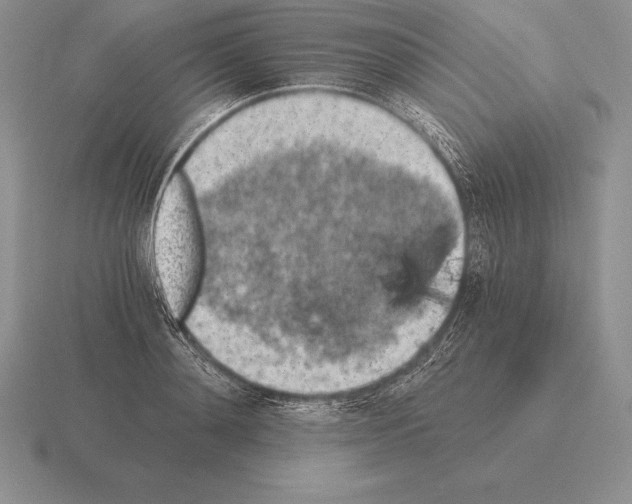 X0000115410892200912151539