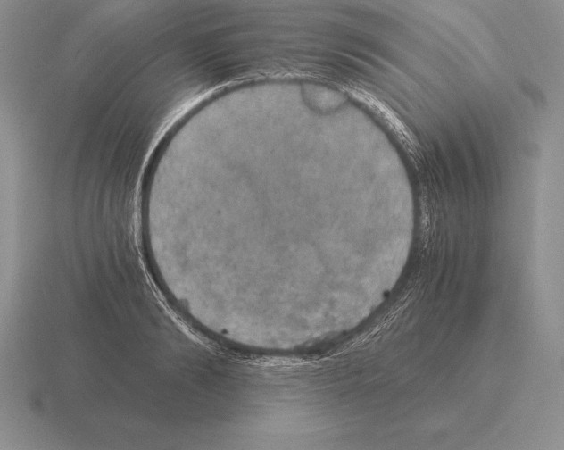 X0000115410894200912151539