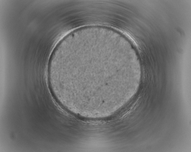 X0000115410895200912151539