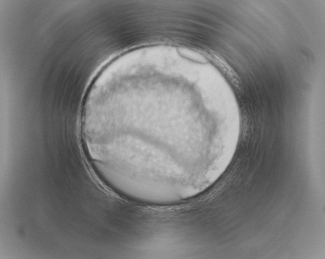 X0000115410896200912151539