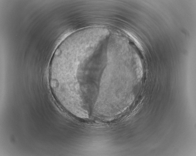 X0000115410899200912151539