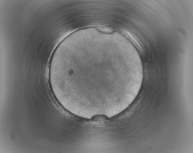 X0000115410900200912151539