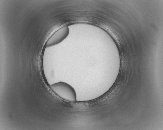 X0000115410901200912151539