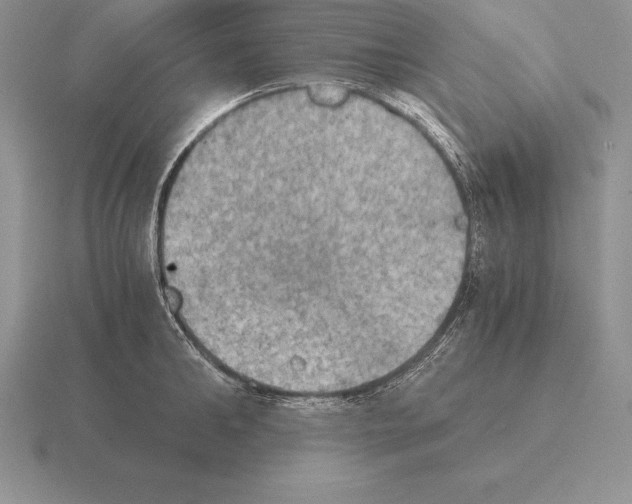 X0000115410902200912151539