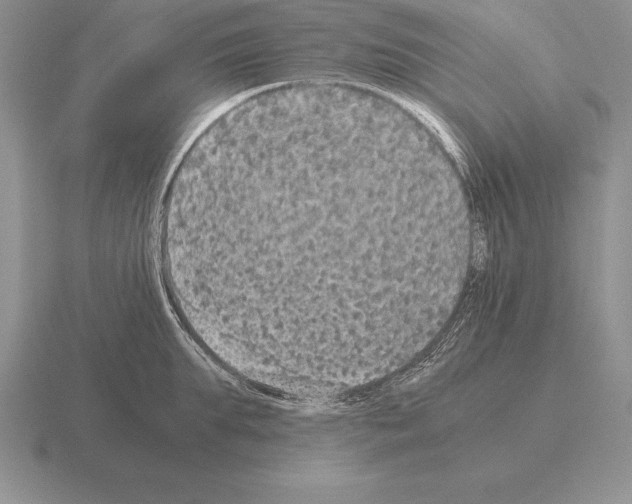 X0000115410903200912151539