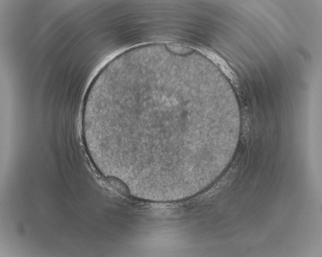 X0000115410904200912151539