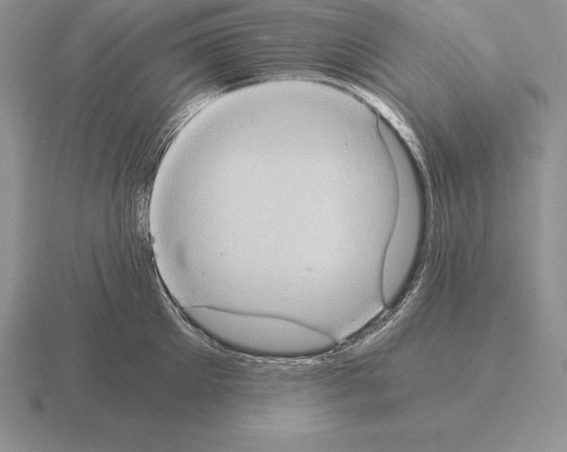 X0000115410905200912151539