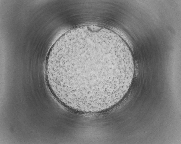 X0000115410906200912151539