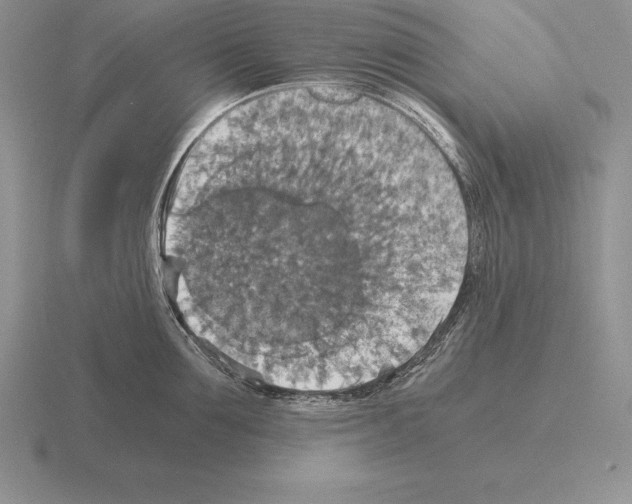 X0000115410907200912151539