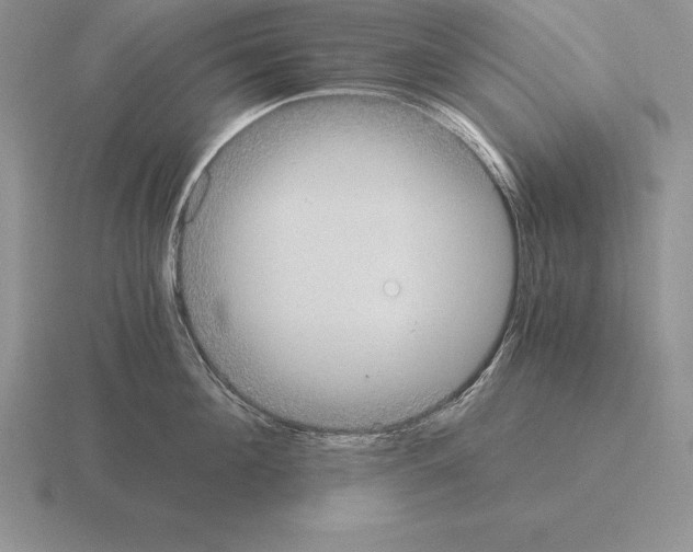 X0000115410908200912151539