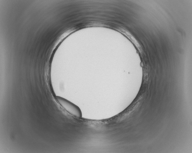 X0000115410909200912151539