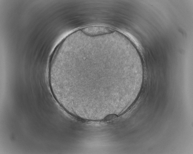 X0000115410910200912151539