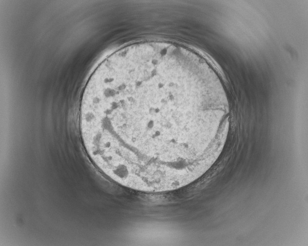 X0000115410911200912151539