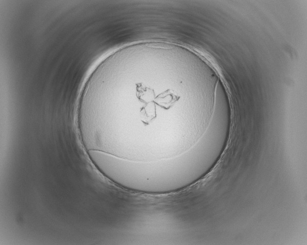 X0000115410912200912151538