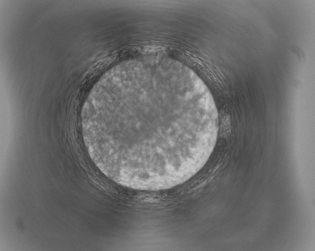 X0000115410913200912151538