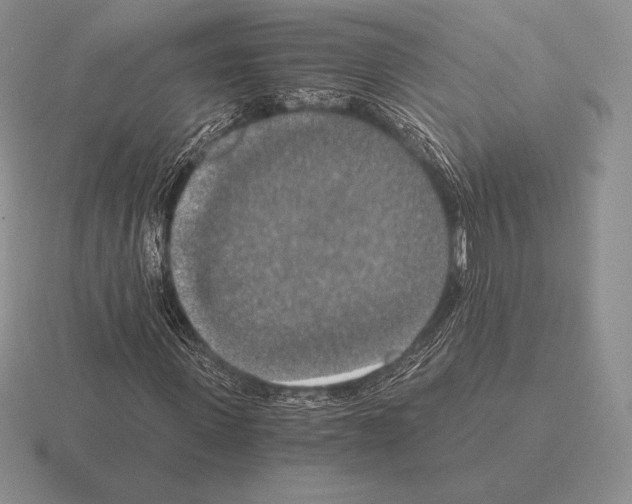 X0000115410915200912151538