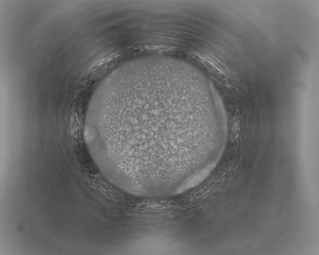 X0000115410917200912151538