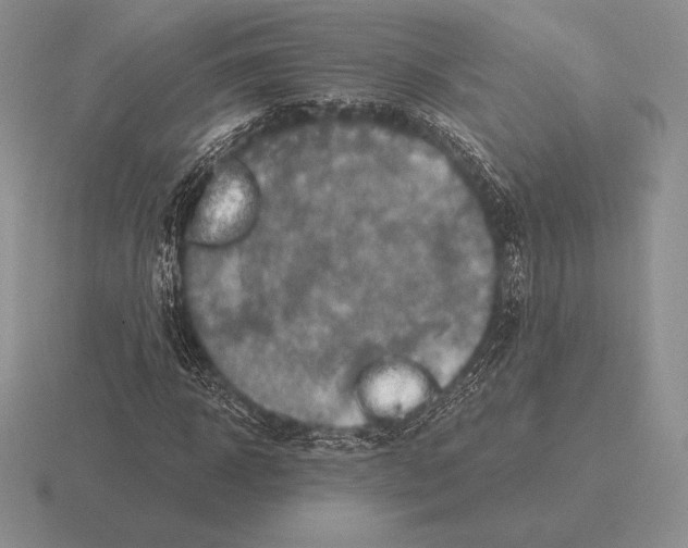 X0000115410918200912151538