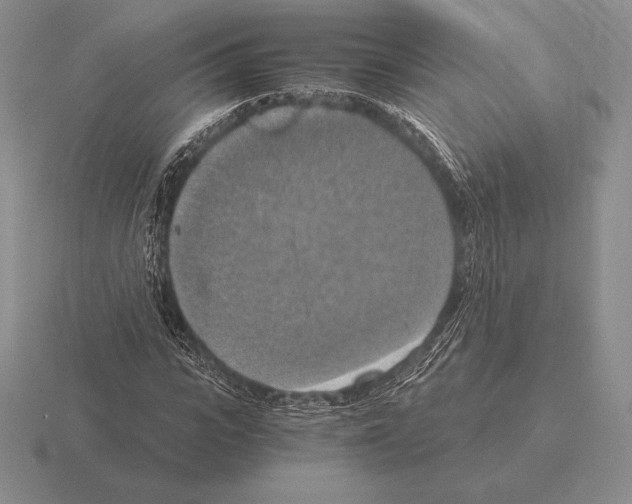 X0000115410919200912151538