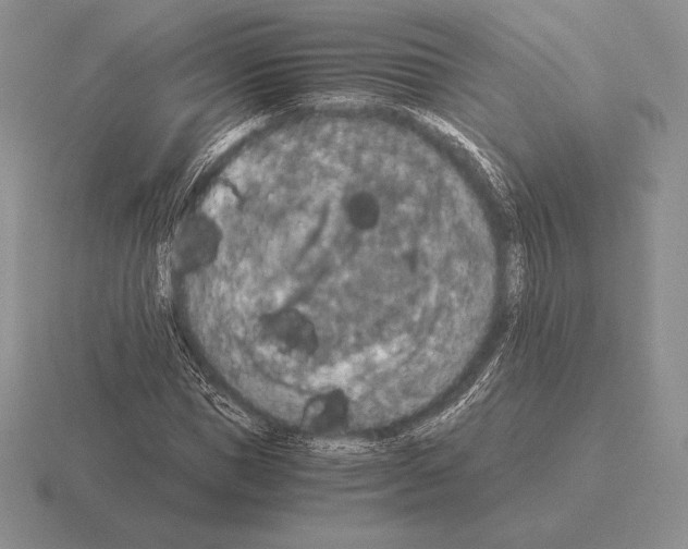 X0000115410921200912151538