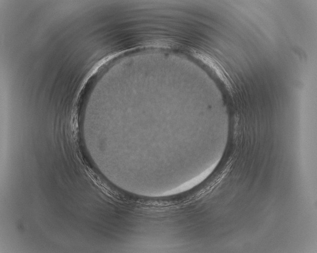 X0000115410923200912151538