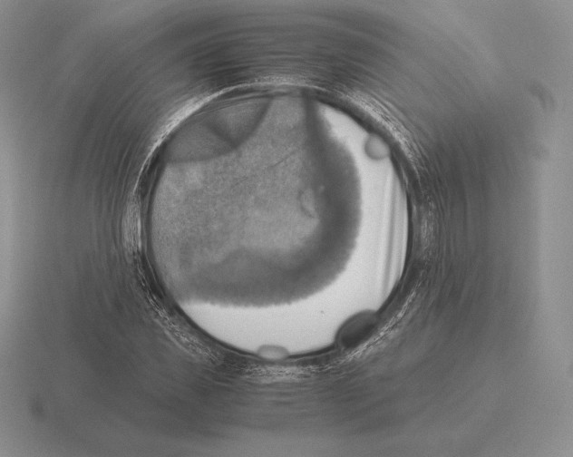 X0000115410925200912151538