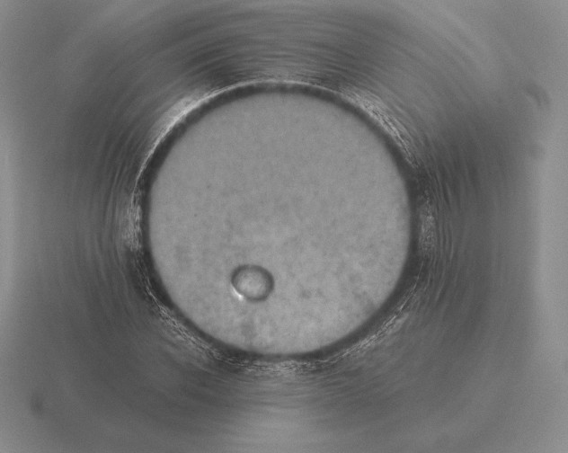 X0000115410926200912151538