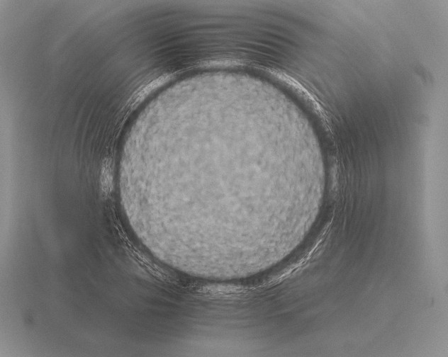 X0000115410929200912151538