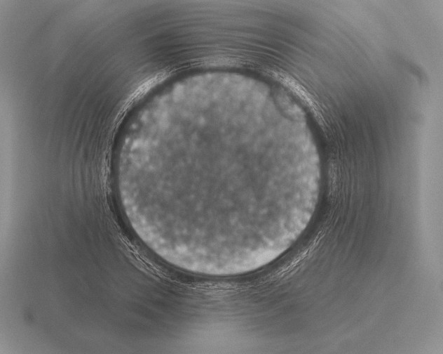 X0000115410930200912151538