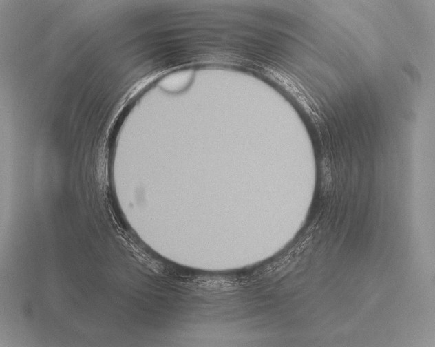 X0000115410931200912151538