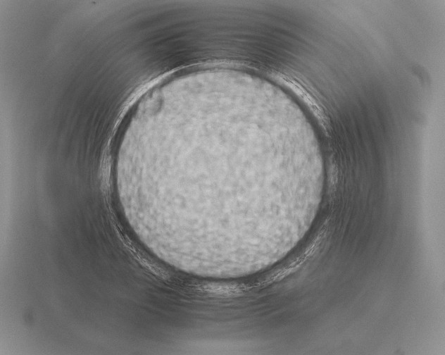 X0000115410933200912151538