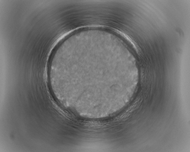 X0000115410935200912151538