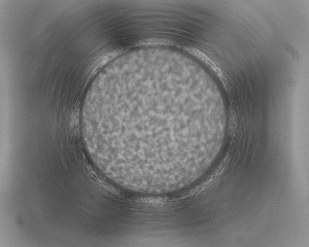 X0000115410937200912151538