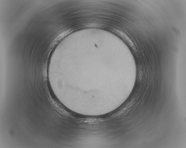 X0000115410938200912151538