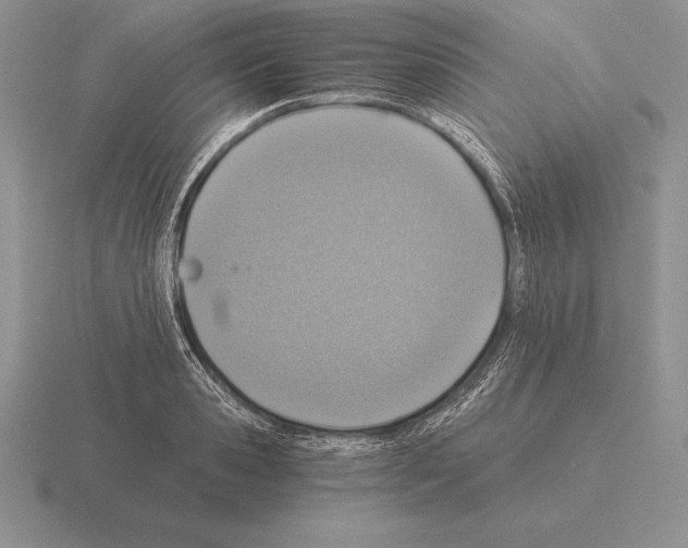 X0000115410941200912151538